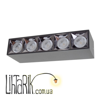 HDL-DT 206/10*2W WW светильник накладной (Brille 36-311)