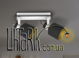 Потолочный светильник Zuma Line REDON CK170901-2