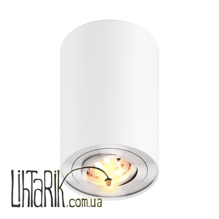 Потолочный светильник Zuma Line RONDOO 45519