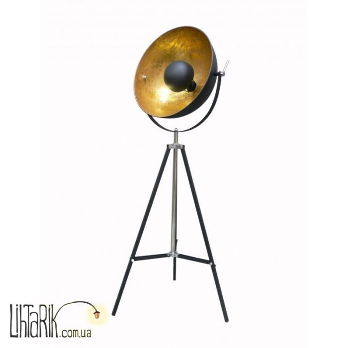 Торшер Zuma Line ANTENNE TS-090522F-BK