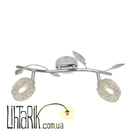 Потолочный светильник Zuma Line GUARAN G916006-2S