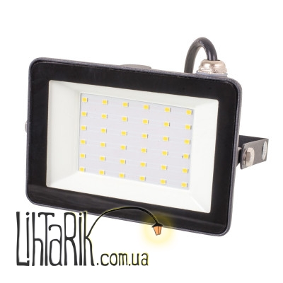 HL-29/30W NW IP65 Прожектор led High Power (32-578)
