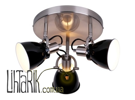 Потолочный светильник Zuma Line PICTOR RLX94023-3B