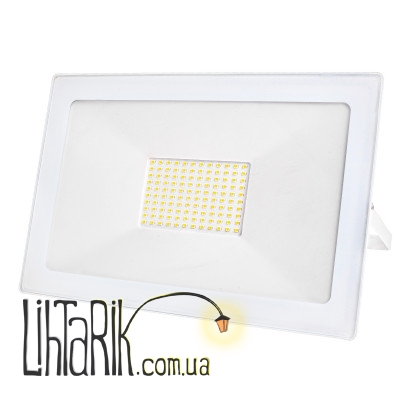 HL-28/100W CW IP65 Прожектор led (Brille 32-560)
