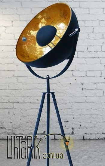 Торшер Zuma Line ANTENNE II TS-130603F-BKGO