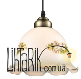 Focus подвес MAX757-1