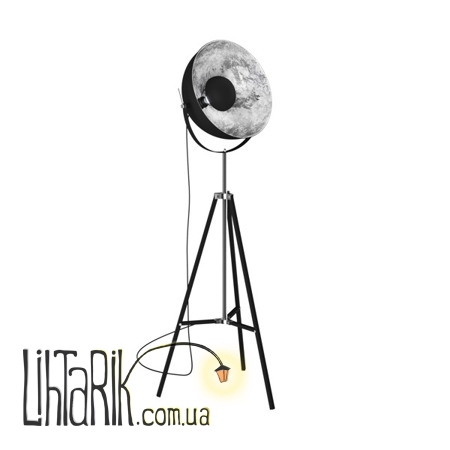 Торшер Zuma Line ANTENNE TS-090522F-BKSI