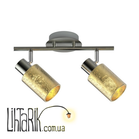 Потолочный светильник Zuma Line DAVIA TK170811-2