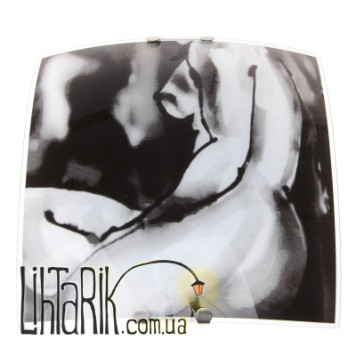 W-436/1 светильник настенно-потолочный (Brille 171235)