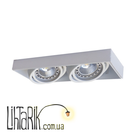 Потолочный светильник Zuma Line ONEON DL 50-2 94362-WH