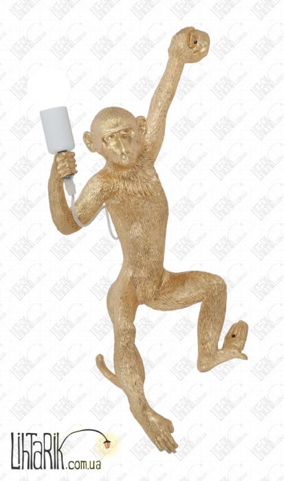 Levistella настенный светильник 909VXL8051D GD