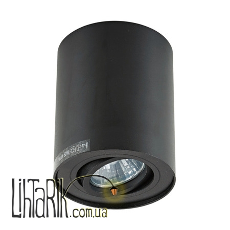 Потолочный светильник Zuma Line RONDOO SL 1 20038-BK