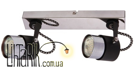 Потолочный светильник Zuma Line RAO CK99893-2