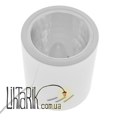 AL-85/1 E27 SWH подсветка (Brille 26-829)