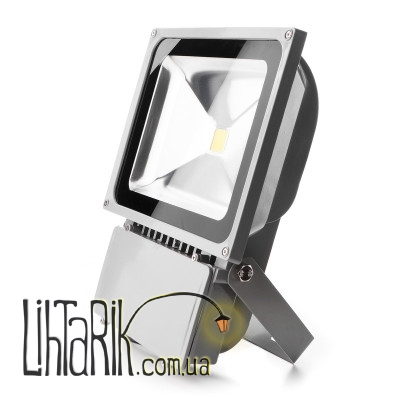 HL-14/70W NW IP65 Прожектор led COB серый (Brille L123-012)