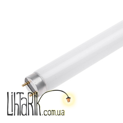 LF 30W/33 FORA лампа люминесцентная (Fora 127029)