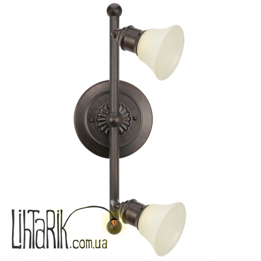 Спот Eglo Alamo - 89058