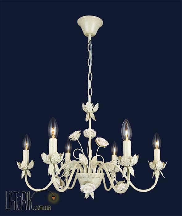 Levistella 74990568A-6 WT+GD