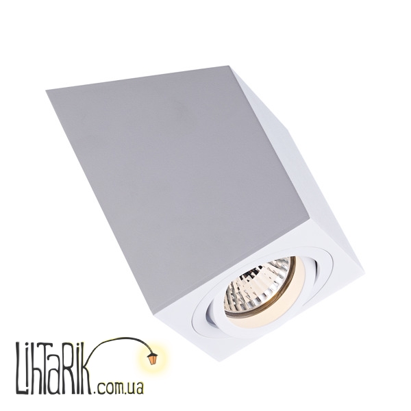 Потолочный светильник Zuma Line RONCUB SL ACGU10-136