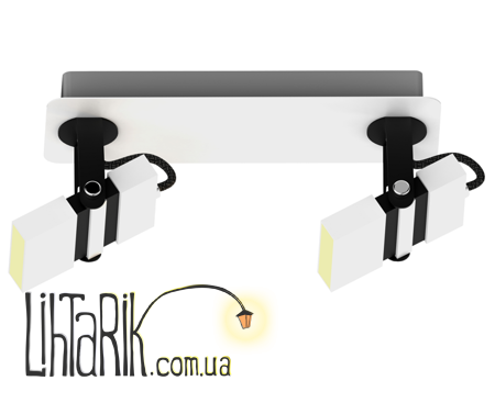 Потолочный светильник Zuma Line COSTA CK170208-2