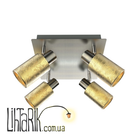 Потолочный светильник Zuma Line DAVIA CK170811-4