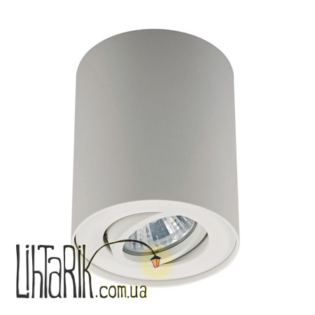 Потолочный светильник Zuma Line RONDOO 20038-WH