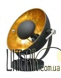 Настольная лампа Zuma Line ANTENNE TS-130801T-BKGOANTENNE