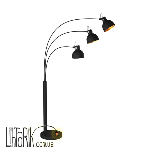 Торшер Zuma Line ANTENNE TS-140123F-BKGO