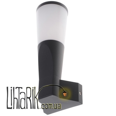 PL-15/25 IP54 LED 9W светильник уличный настенный (Brille 34-090)