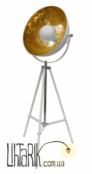 Торшер Zuma Line ANTENNE TS-090522F-WHGO