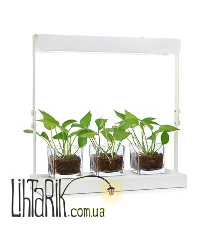 Настольная лампа Markslojd HARVEST - 107025