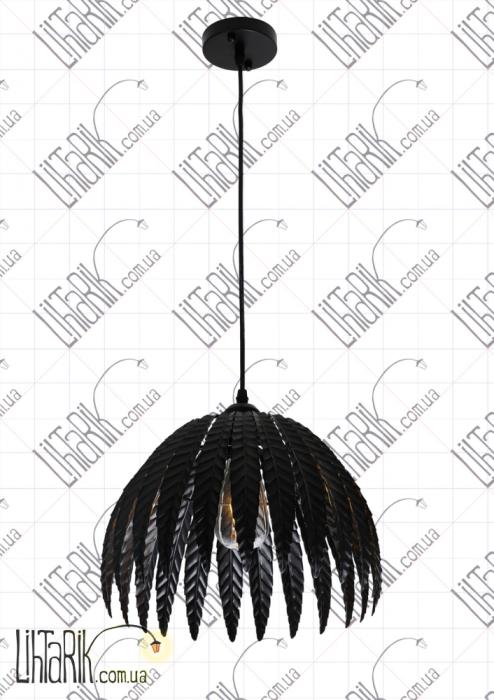 Levistella 761SY01-1