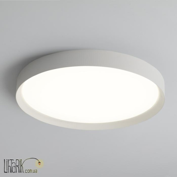 Приставной потолочный светильник Minsk 3758