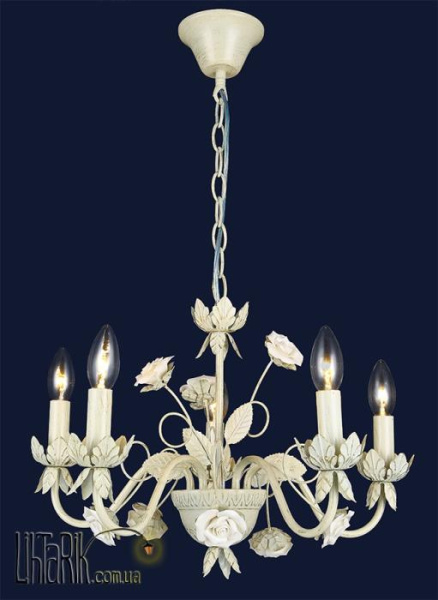 Levistella 74990568A-5 WT+GD