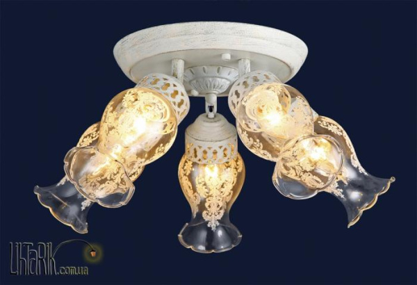 Levistella 74990670-5 WT