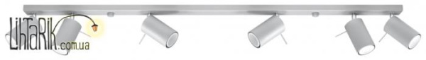SOLLUX LIGHTING Светильник припотолочный RING 6L Szary SL.0454