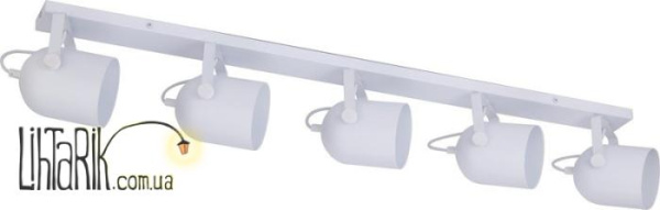 Потолочный светильник TK Lighting SPECTRA White - 2608