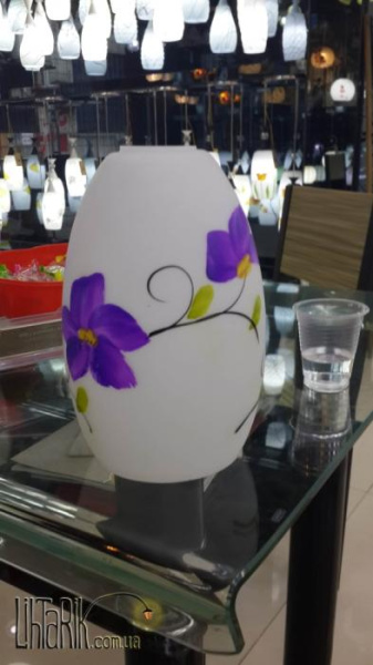 Focus подвес B308