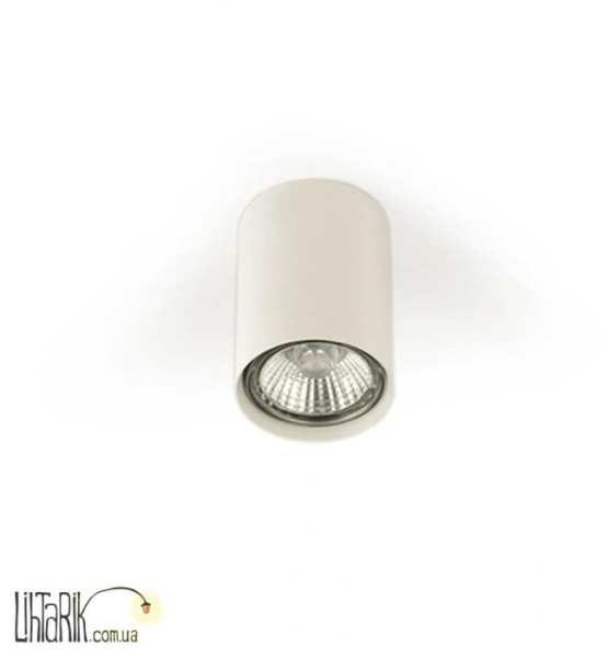 Потолочный светильник Zeon GU10