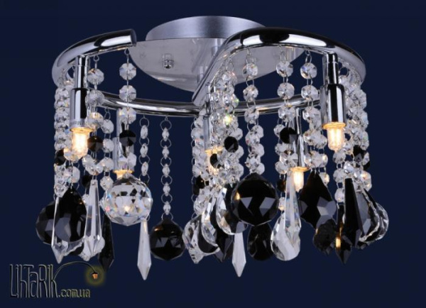 Levistella 7778012-5 CR