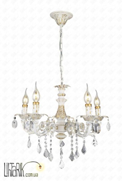 Levistella 74990553-5 WT+GD