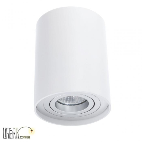 Auhilon Светильник припотолочный TUBA NERO biay 1L (C1234-1L WH)