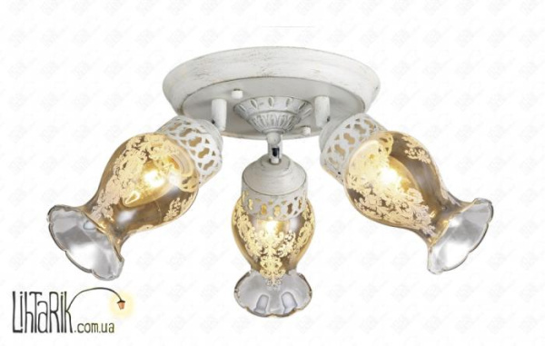 Levistella 74990670-3 WT