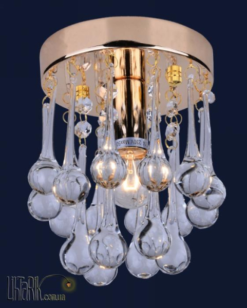 Levistella 7778007-1 FG