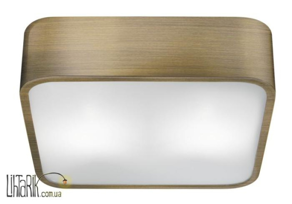 Потолочный светильник Searchlight Flush 1030-25AB