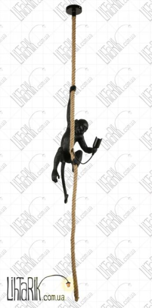 Levistella подвесной светильник 909VXL8051-1 BK