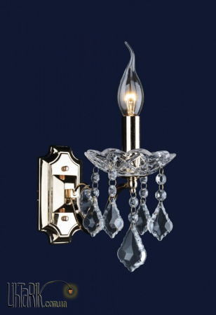 Levistella 702W5107-1 GD