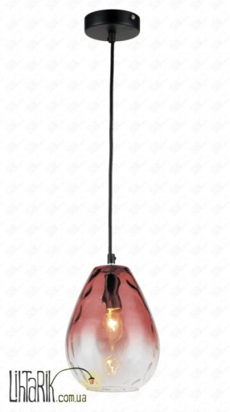 Levistella 75050104-1B