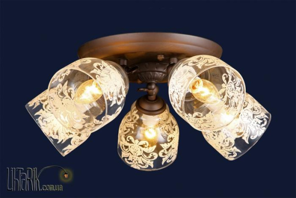 Levistella 74990670-5 BR