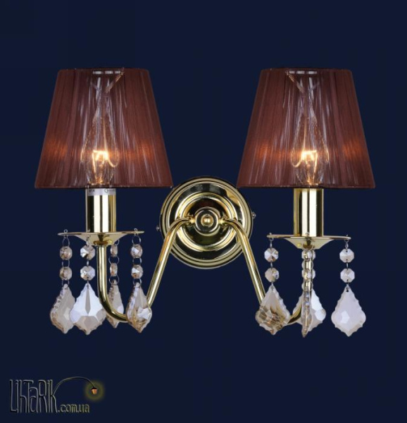 Levistella 720W4002GD-2GD BROWN